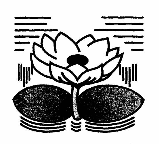 �̻ᴫͳͼ�꣨��ʮ�ˣ�