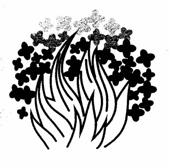 �̻ᴫͳͼ�꣨��ʮ�ߣ�